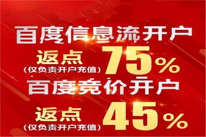 SEM运营公司案例解析：精准广告投放技巧