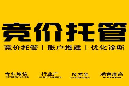 百度竞价广告投放全解析：成功案例揭秘